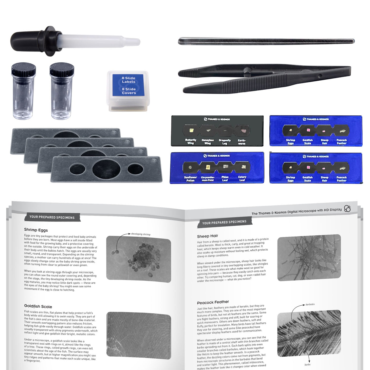 Collection of scientific tools and specimens with a manual on a white background
