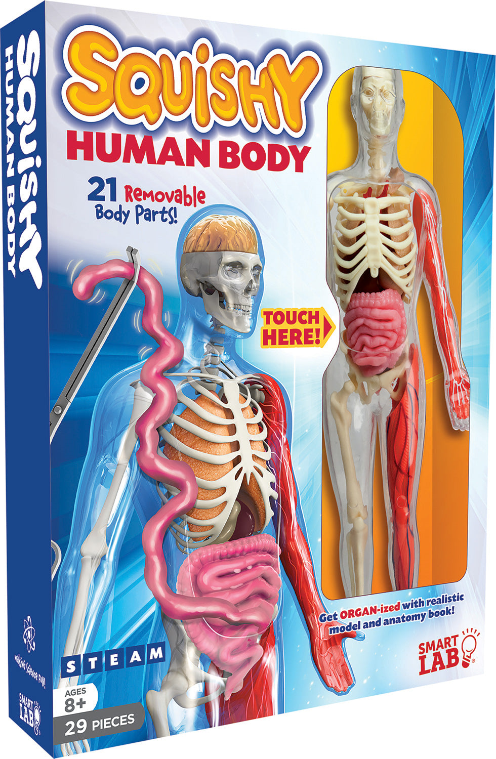 HUMAN BODY SQUISHY
