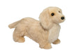 Plush toy dog on a white background