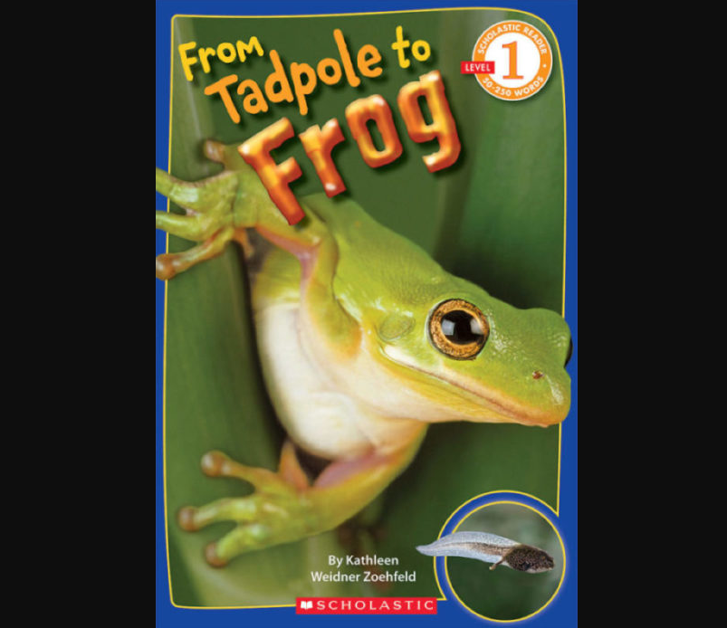 FROM TADPOLE TO FROG  ER1