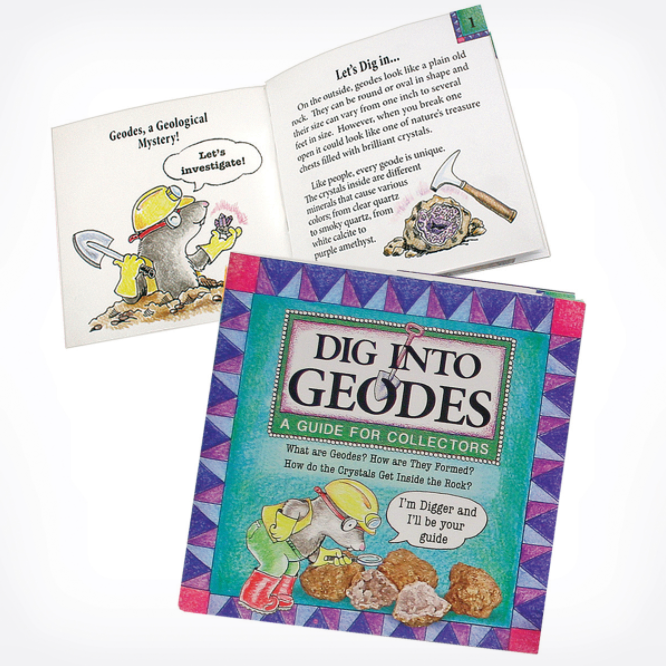 DIG INTO GEODES BOOK