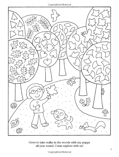 Color your World: A Walk in the Woods Activity Book