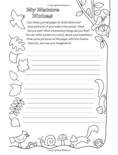 Color your World: A Walk in the Woods Activity Book