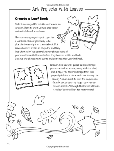 Color your World: A Walk in the Woods Activity Book