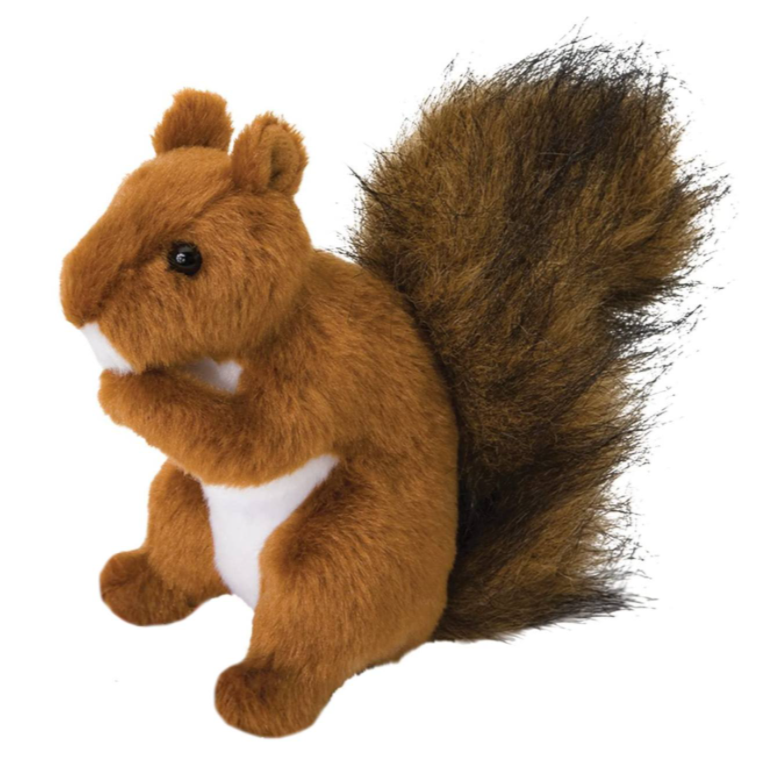 Red Squirrel - Roadie