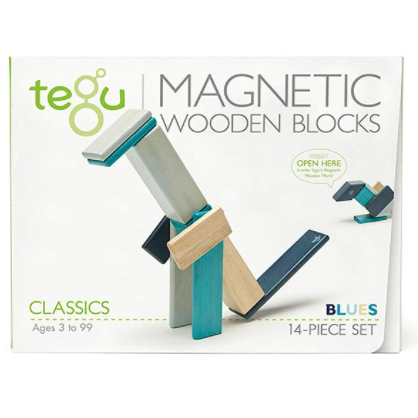 BLOCKS TEGU 14 PC BLUES