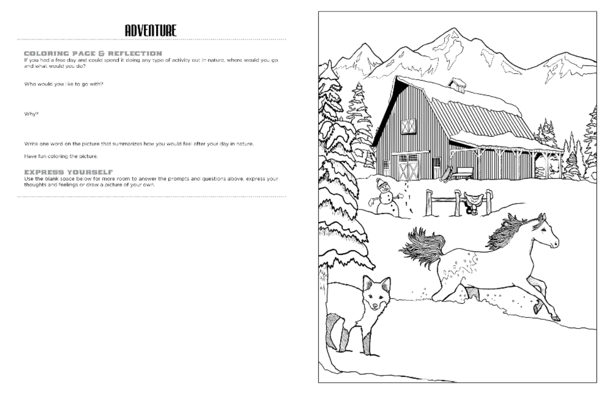 COLORING BOOK DISCOVER THE BARN